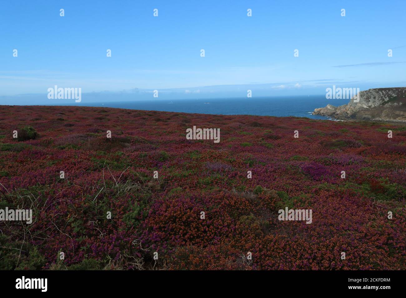 Ein trüber Sommertag mit Blick auf das Meer und das Land vor der bretonischen Küste, einschließlich Heide und Felsen 3 Stockfoto