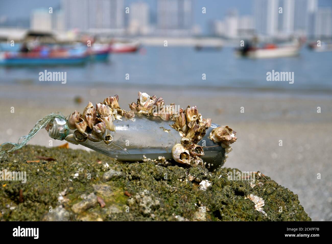 Eine Flasche mit einer Krone auf einer Felsenernte in einem städtischen Stadthafen mit traditionellen Fischerbooten im Hintergrund. Stockfoto