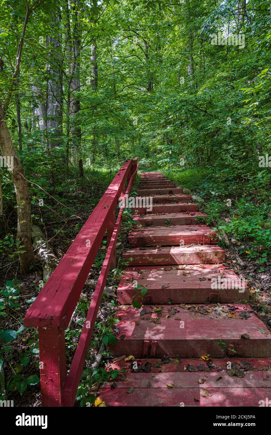 Rote Treppen in grünen Wäldern führen zu einem Naturzentrum. Stockfoto