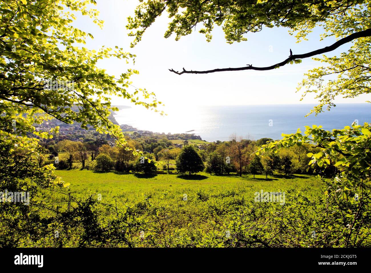 Sidmouth Strand Stockfoto