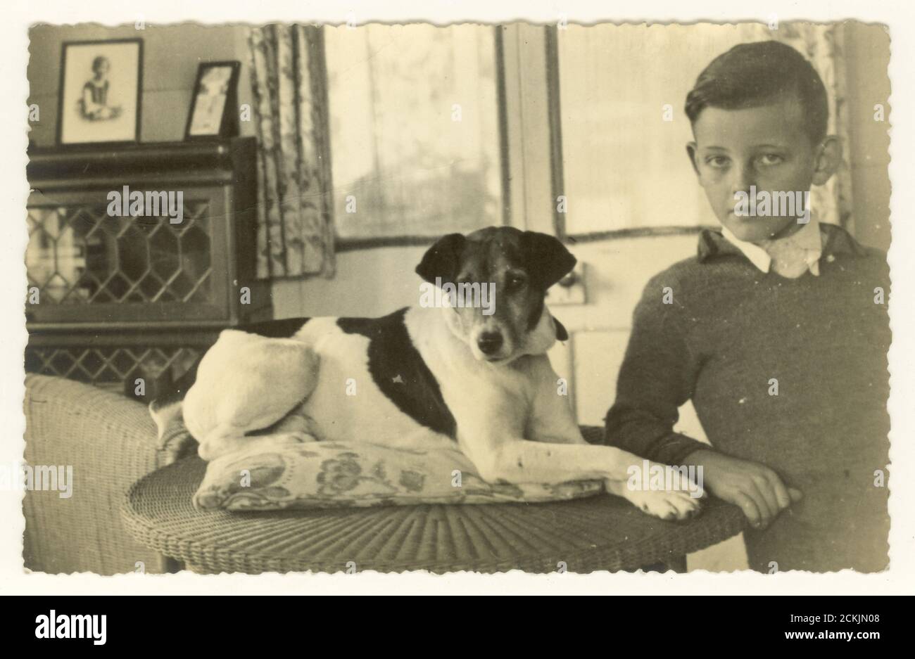 Postkarte des frühen 20. Jahrhunderts eines Jungen, der einen Strickpullover mit seinem Haustier Terrier trägt Parson Russell Hund,- Standort unbekannt, europäisch, um 1920er Jahre 1930er Jahre. Stockfoto