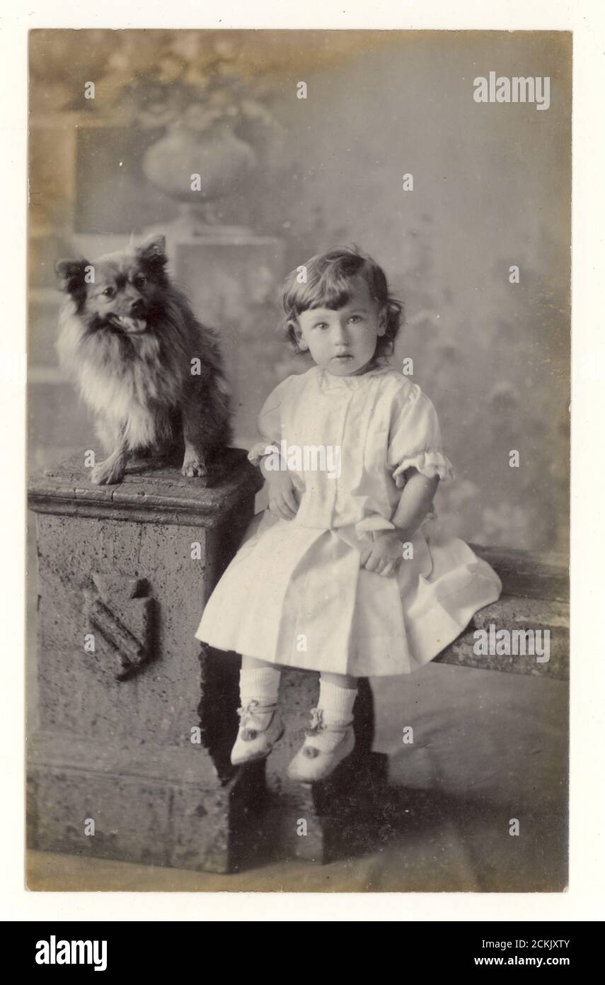 Originale Studiopostkarte aus den frühen 1900er Jahren eines kleinen Kindes (Mädchen oder Jungen, da sie in dieser Zeit gleich gekleidet waren) mit Hund, datiert von 1909 - R.Wilson, Carlton Studio, Consett, County Durham, England, UK Stockfoto