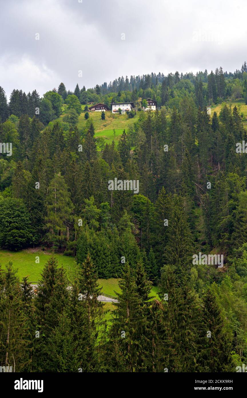 Berghöfe auf einer Waldlichtung auf einem Berghang im Lesachtal Kärntens, Österreich Stockfoto