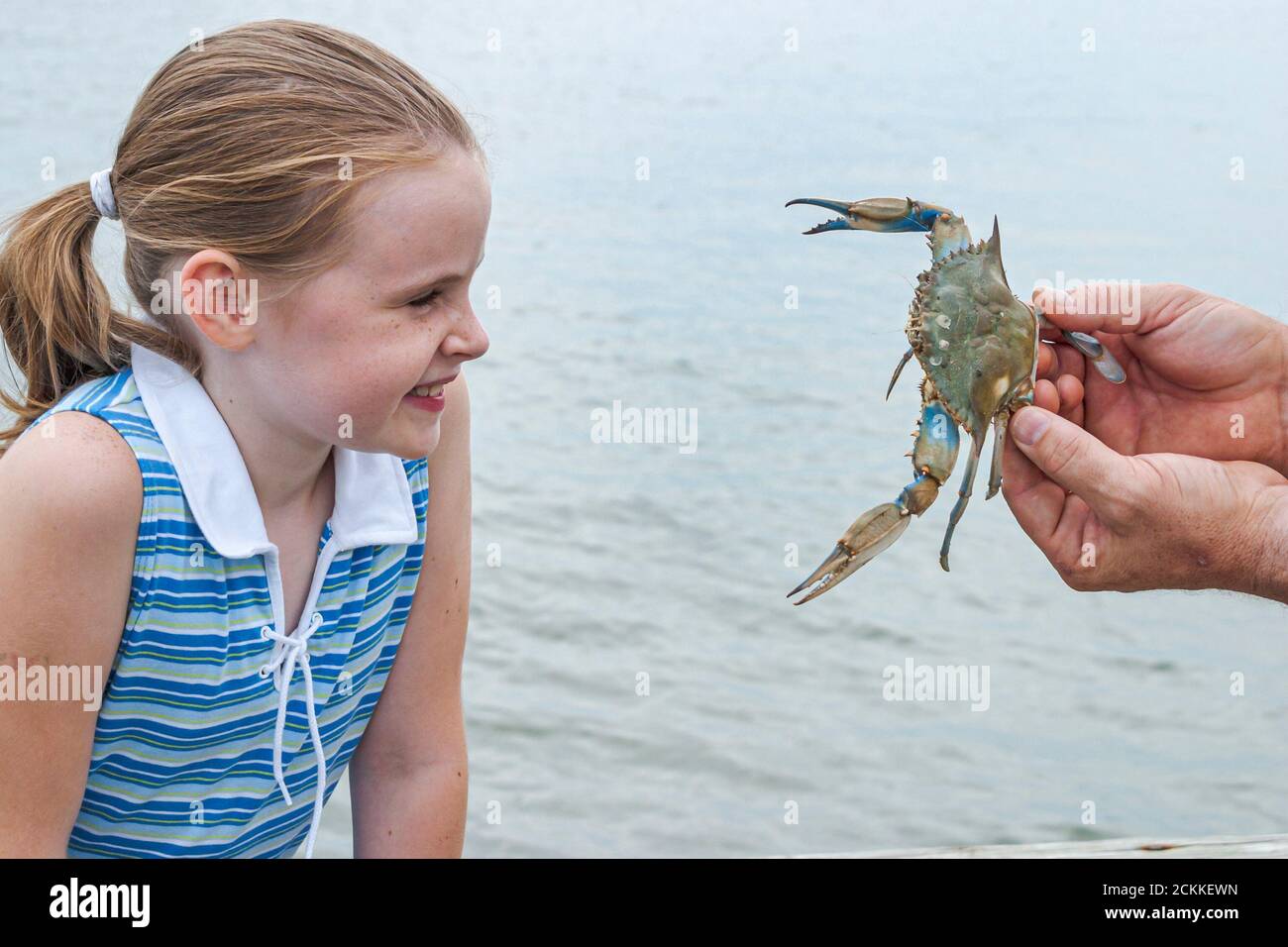 Virginia Newport News near James River Bridge, Krabbenfischen Erholung Wasser Mädchen weiblich gefangen Krabbe, sieht aus Kinder Kinder Stockfoto
