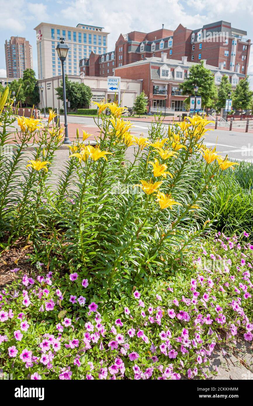 Virginia Portsmouth High Street Blumen Landschaftsgestaltung Innenstadt Design, Stockfoto
