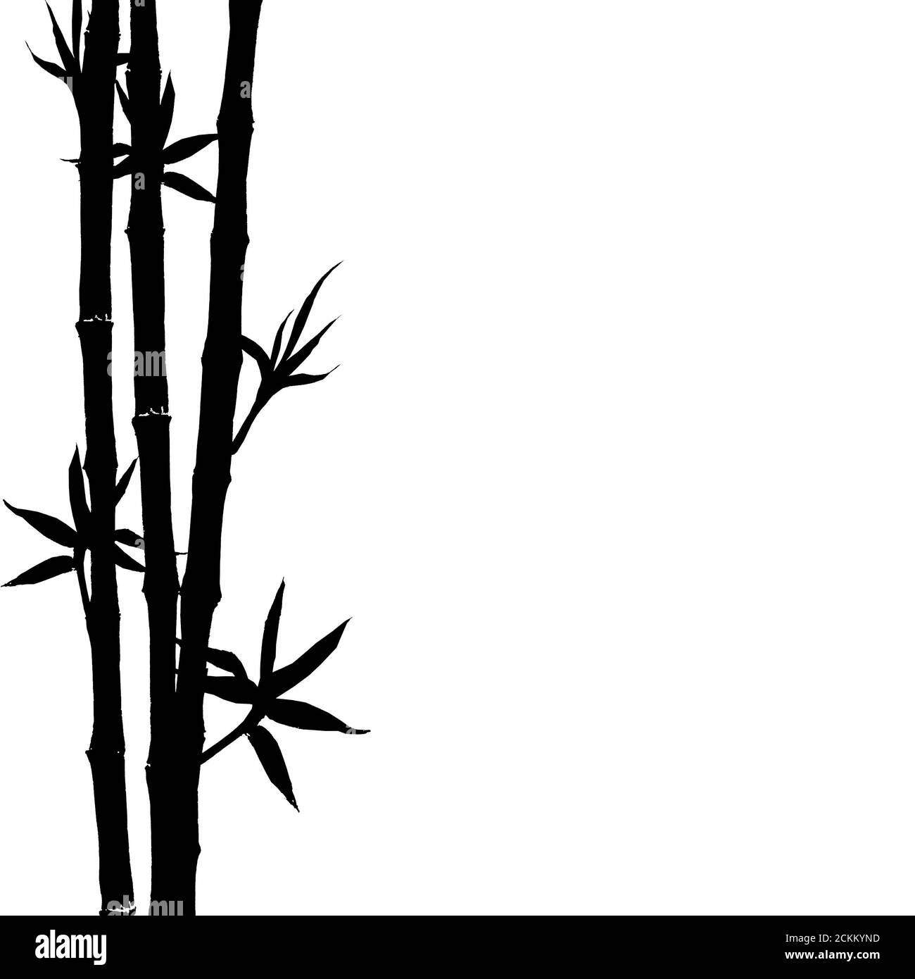Schwarze Silhouette von Bambusstämmen und Blättern isoliert auf weißem Hintergrund. Handgezeichnete botanische Illustration mit Platz für Text. Stockfoto