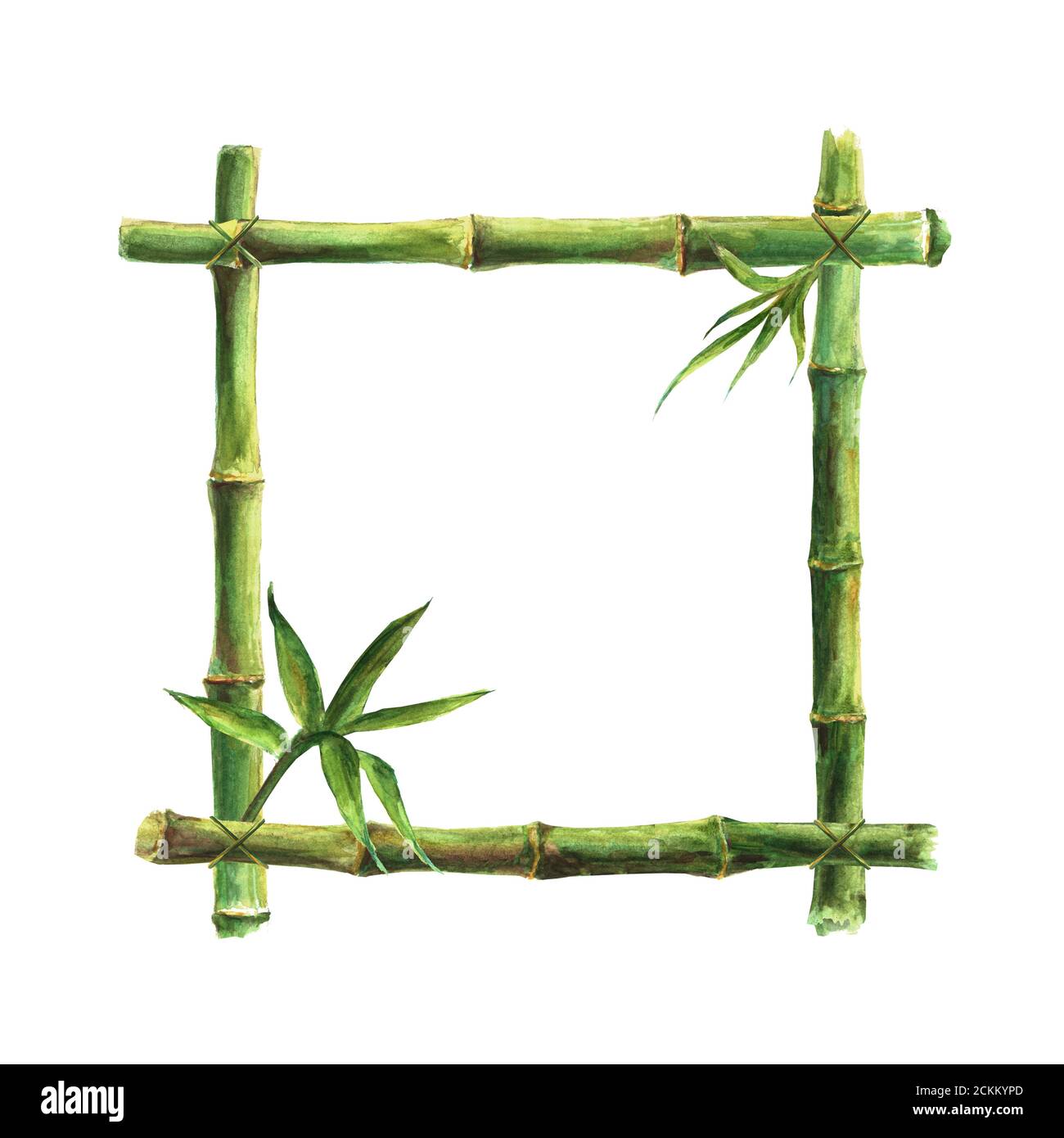 Grne Bambus Stiele Sticks und Bltter Rahmen isoliert auf weiem  Hintergrund. Aquarell handgezeichnete Illustration mit Platz fr Text,  Bild, Rahmen, templa Stockfotografie - Alamy