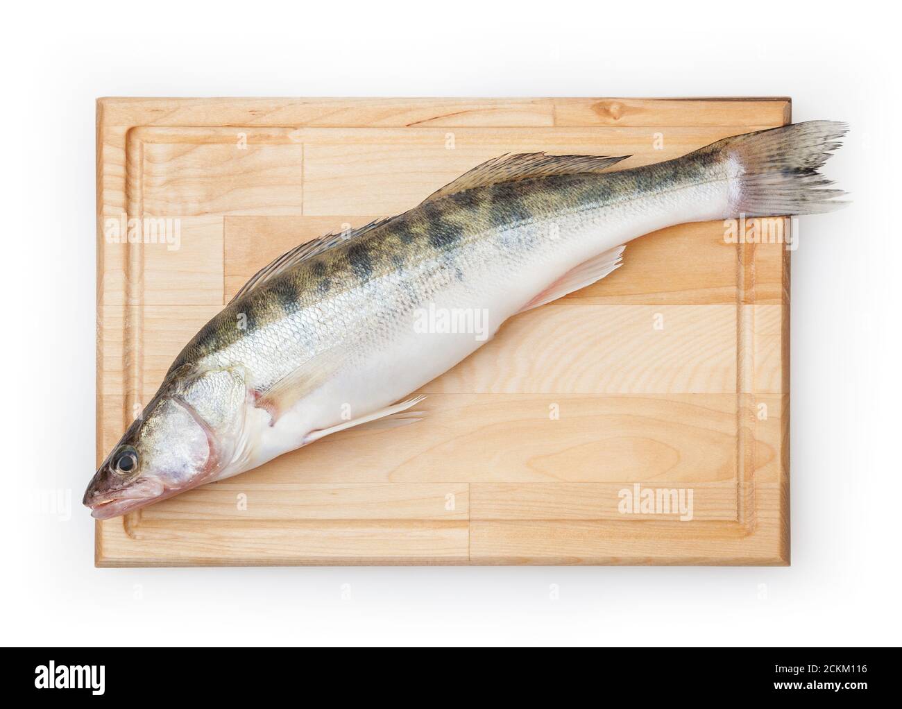 Frischer Hechtbarsch auf Holzbrett isoliert auf weiß Hintergrund mit Beschneidungspfad Stockfoto