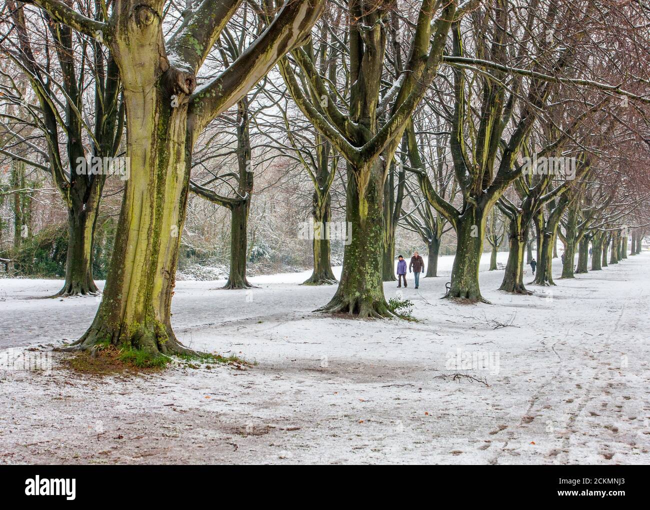Verschneite Szene entlang der Promenade im Clifton Village Bristol UK Stockfoto