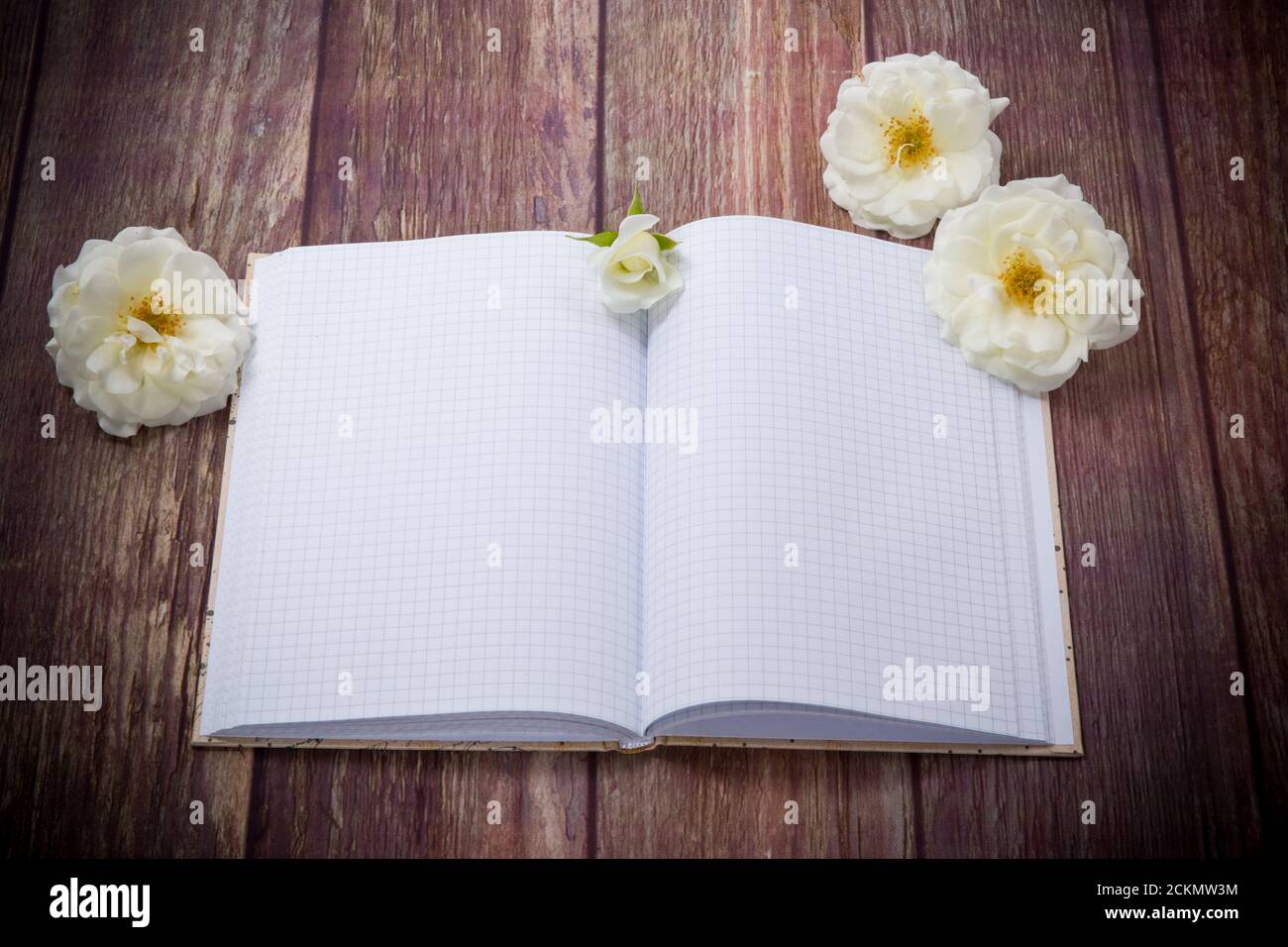 Bouquet von schönen weißen Rosen und leeres Notizbuch Stockfoto