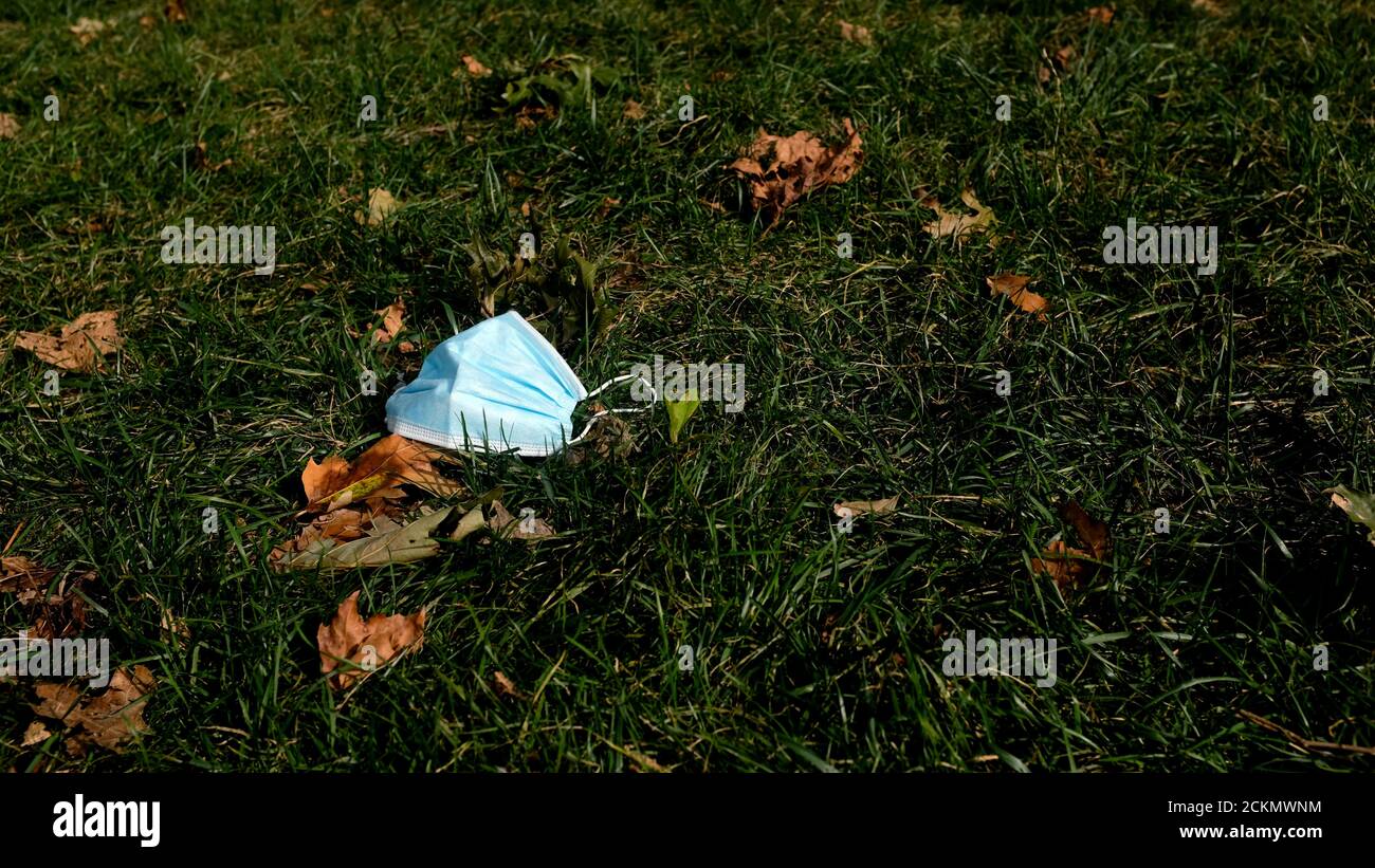 Blaue Einweg-Gesichtsmaske auf Gras weggeworfen; Stockfoto