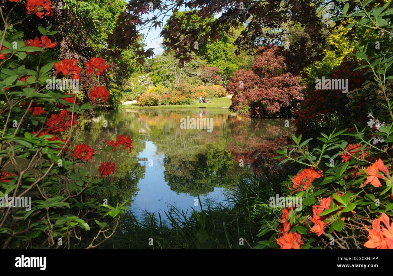 EXBURY GARDENS Stockfoto