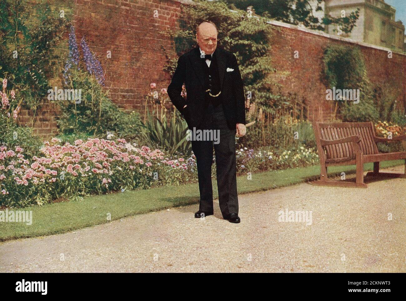 Winston Churchill im Garten von 10 Downing Street, während des Zweiten Weltkriegs. Sir Winston Leonard Spencer-Churchill, 1874 – 1965. Britischer Politiker, Armeeoffizier, Schriftsteller und zweimal Premierminister des Vereinigten Königreichs. Stockfoto