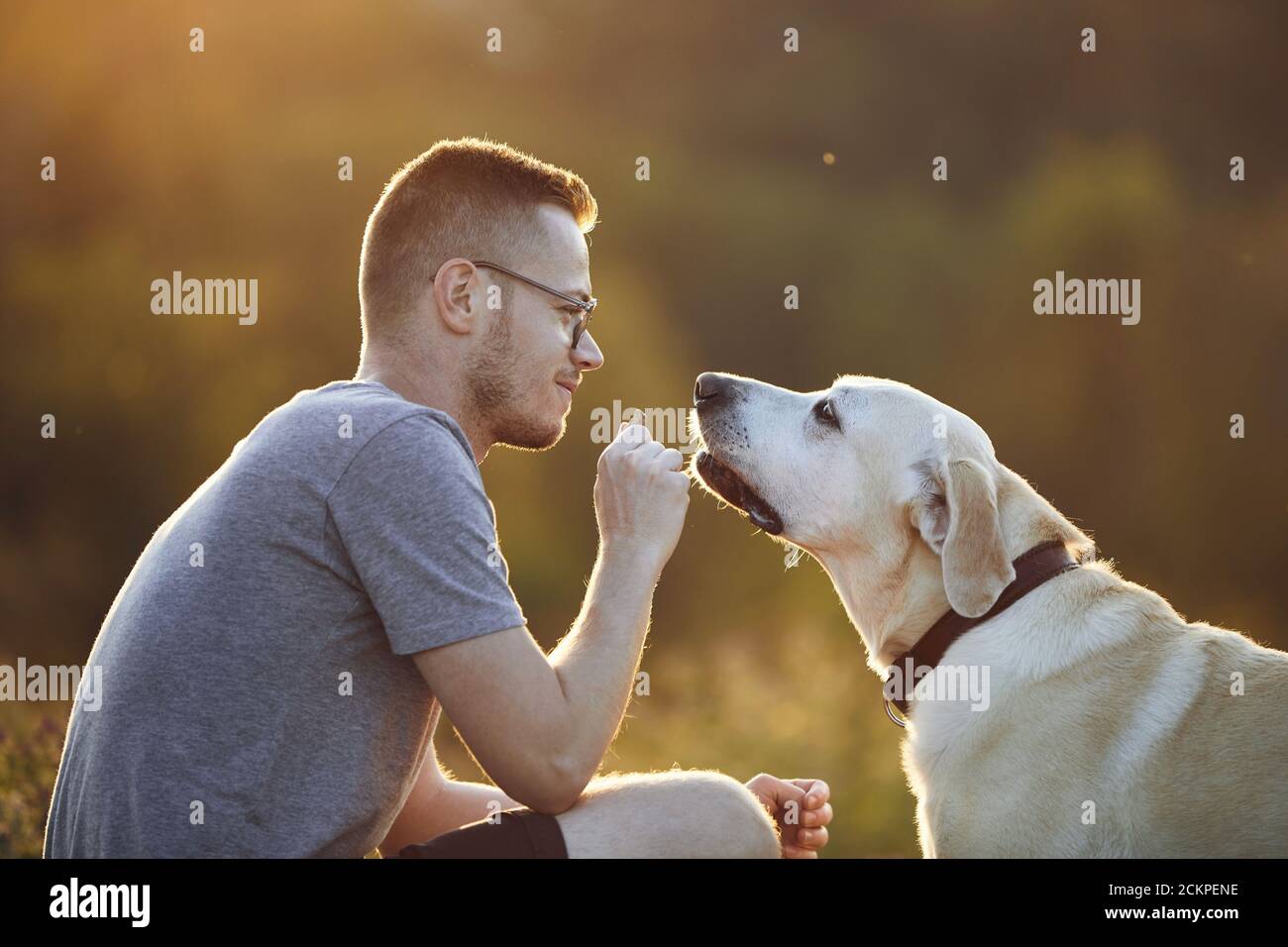 Mann mit Hund auf Wiese bei Sonnenuntergang. Haustierbesitzer hält Cookie für seinen süßen labrador Retriever. Stockfoto
