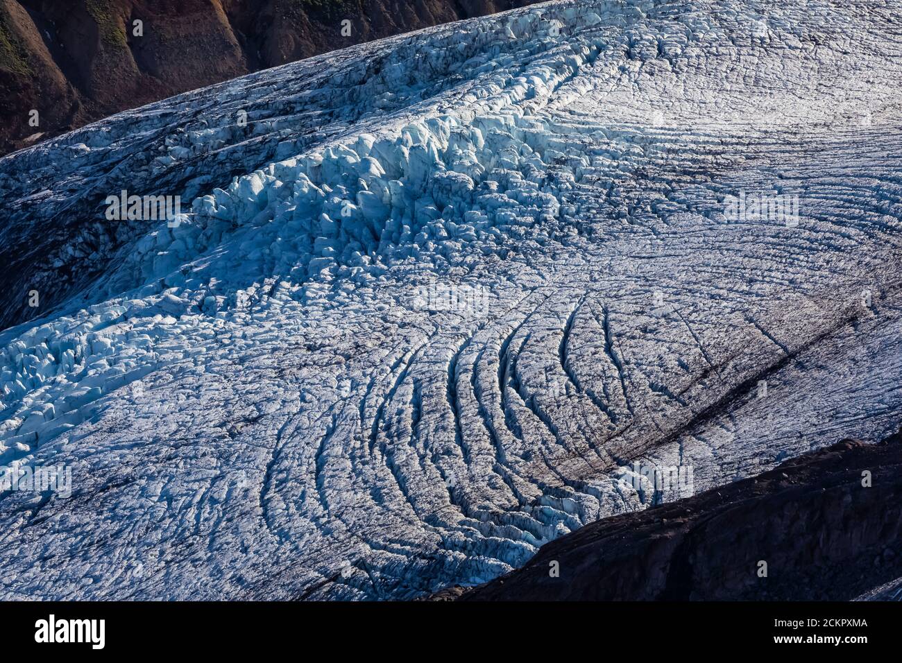 Roosevelt Glacier, mit Gletscherspalten und Eisbruch-Elementen, vom Heliotrope Ridge unterhalb von Mount Baker, Mount Baker-Snoqualmie National Forest, Washin betrachtet Stockfoto