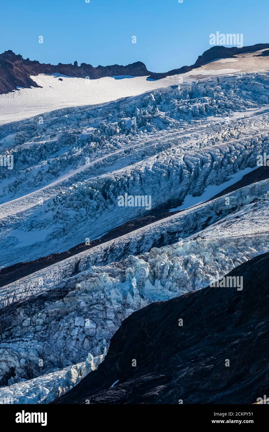 Coleman und Roosevelt Glaciers im Morgenlicht, vom Heliotrope Ridge unter Mount Baker, Mount Baker-Snoqualmie National Forest, Washington St Stockfoto