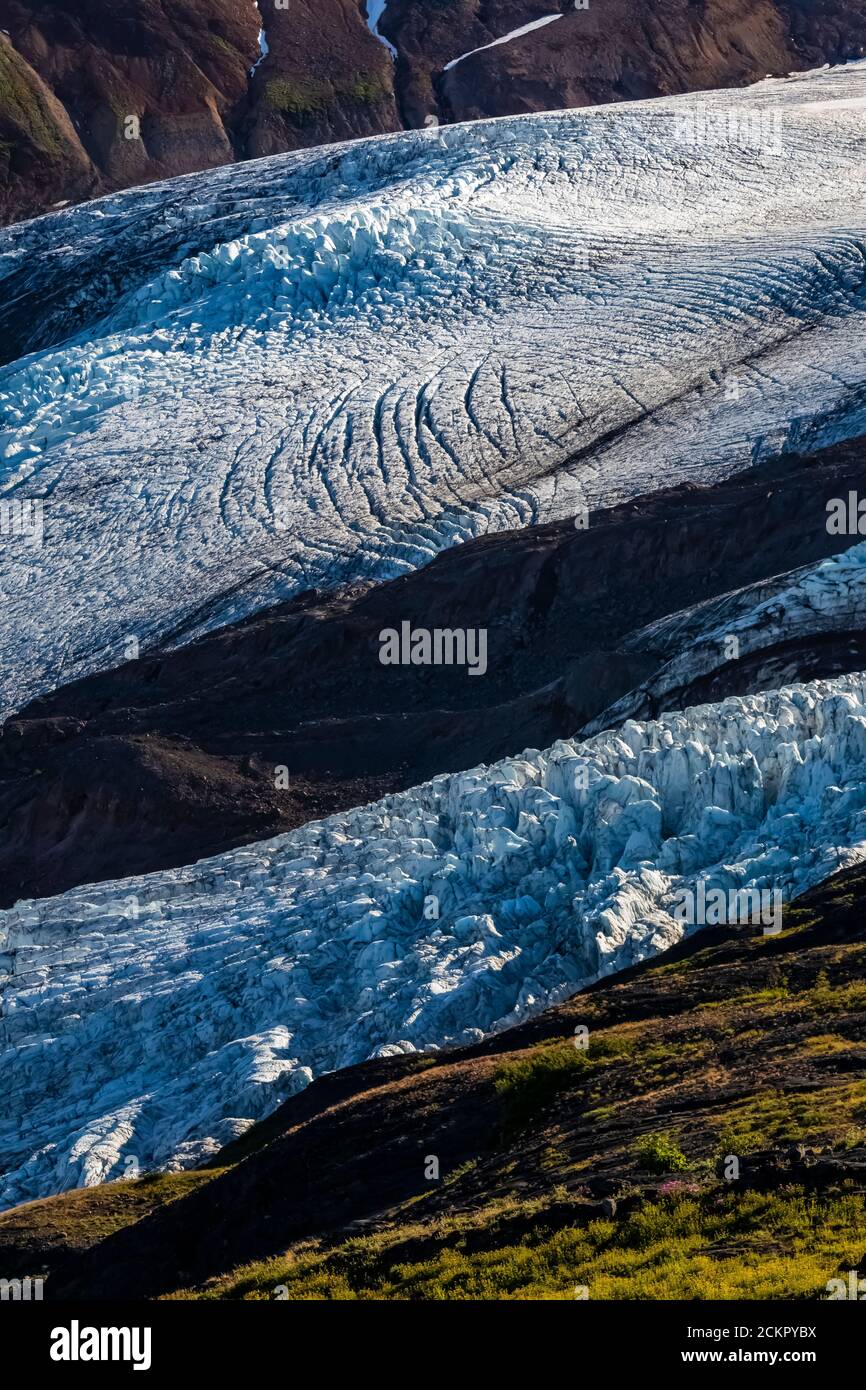 Coleman und Roosevelt Glaciers im Morgenlicht, vom Heliotrope Ridge unter Mount Baker, Mount Baker-Snoqualmie National Forest, Washington St Stockfoto