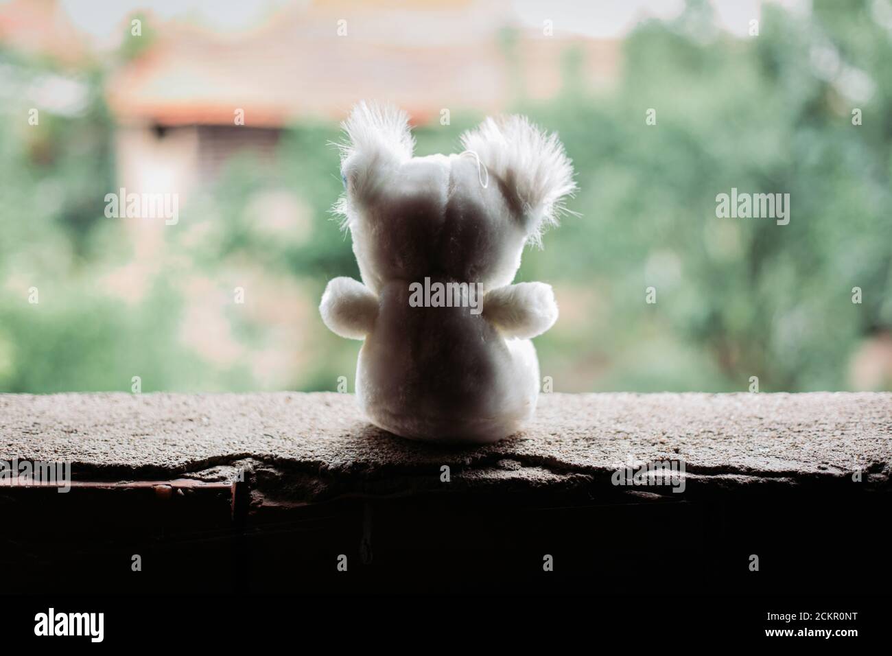Silhouette des Teddybären sitzt auf dem Fenster. Traurigkeit, International Missing Children Day Konzept Stockfoto