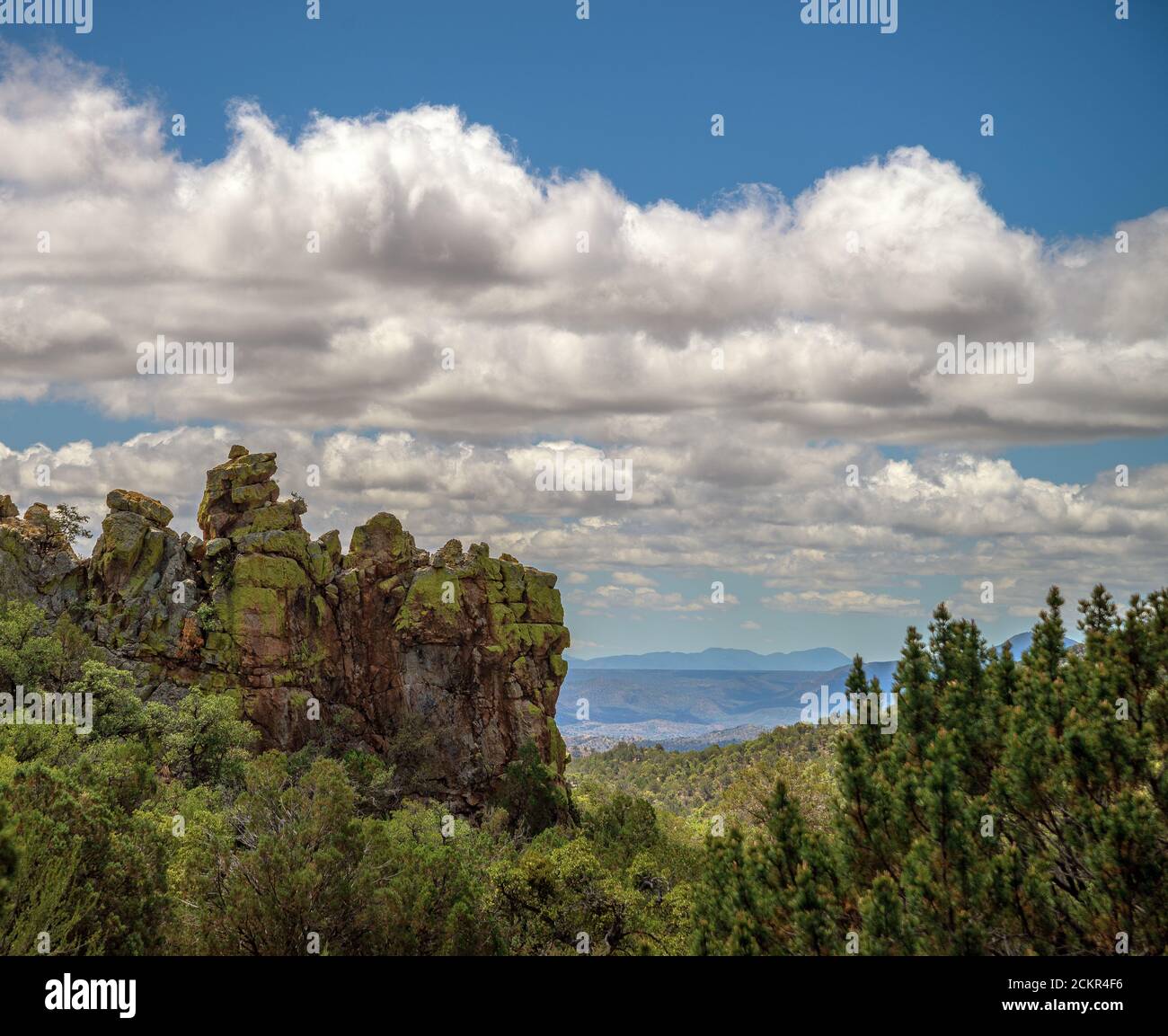 Der Blick vom Arizona Trail, oder Arizona National Scenic Trail, zwischen Gardner Canyon und Patagonia, Coronado National Forest, Santa Rita Mountain Stockfoto