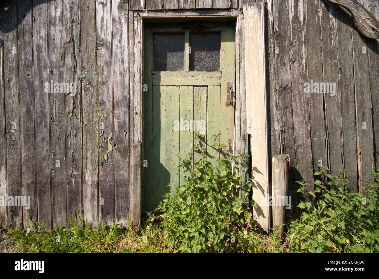Rustikale Tür Stockfoto