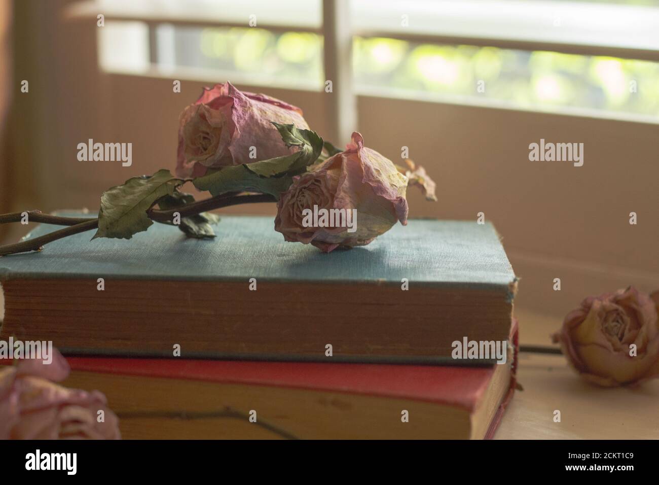 Getrocknete Rosen auf der Oberseite und um einen Stapel von Jahrgang Bücher auf der Fensterbank Stockfoto