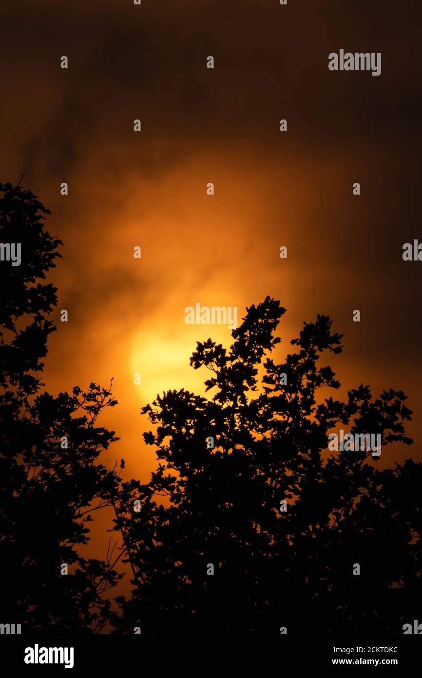 Wetter in Großbritannien: Ein nebliger, gedämpfter Sonnenuntergang Stockfoto