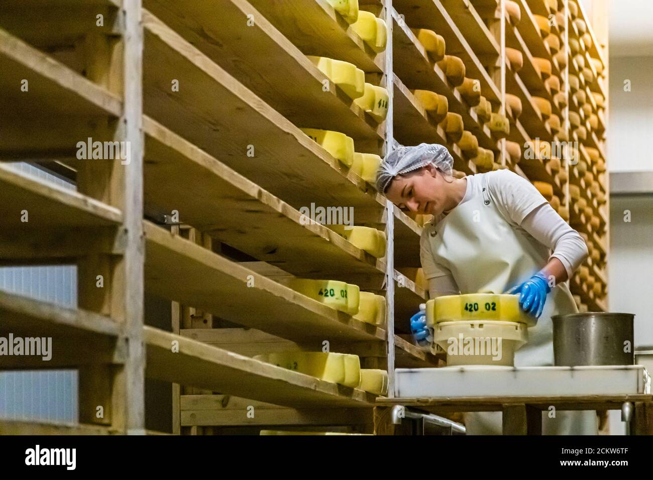 Käseproduktion in der Franche-Comté, Frankreich Stockfoto