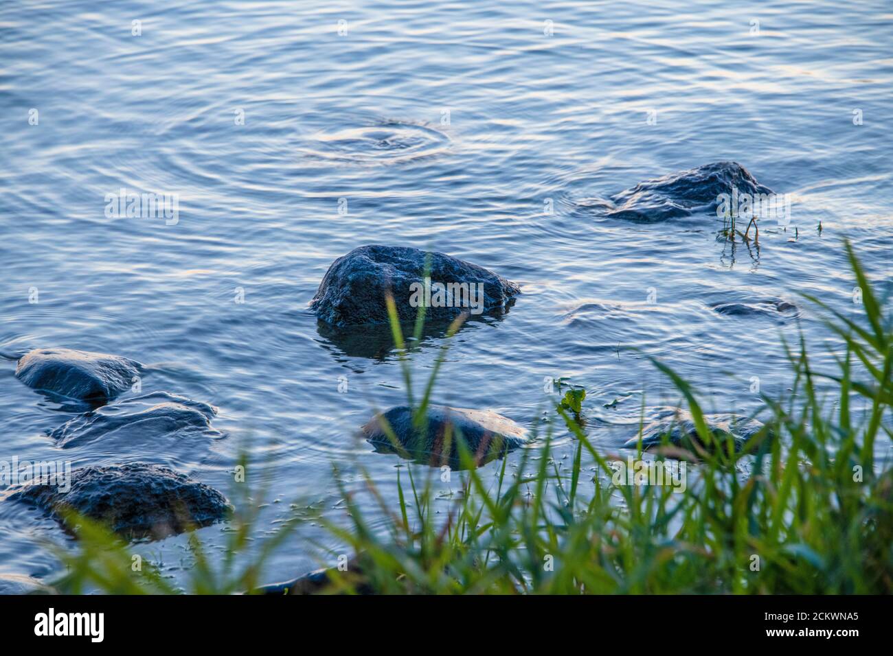 Steine im Wasser in der Nähe des Ufers des Flusses Stockfoto