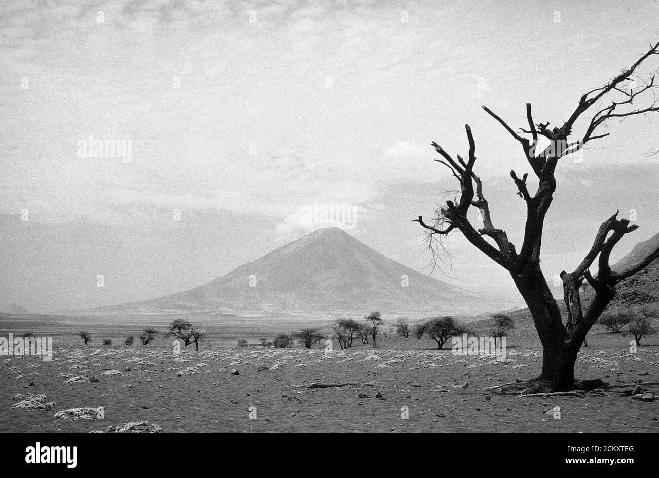 Monochrome Aufnahme von Ol Doinyo Lengai, einem aktiven Vulkan im Great Rift Valley, Tansania. Stockfoto