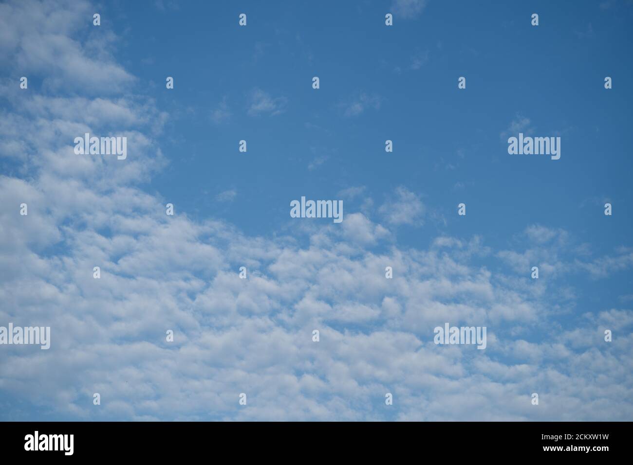 Blauer Himmel mit weißen flauschigen Wolken an einem hellen Tag Stockfoto
