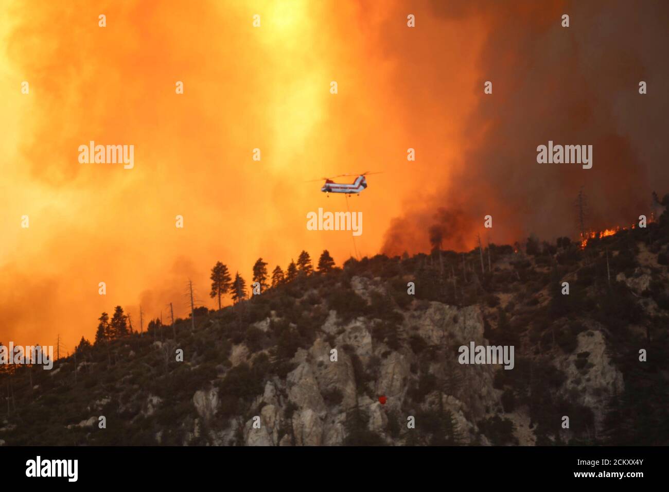 Ein Boeing Vertol 107 Schwerlasthubschrauber während der Luftbrandbekämpfung am Bobcat Fire in der Nähe des Mt. Wilson Observatory im Angeles National Forest 14. September 2020 nordöstlich von Los Angeles, Kalifornien. Der Brand hat über 41,000 Acres zerstört und ist nur zu 3% eingedämmt. Stockfoto