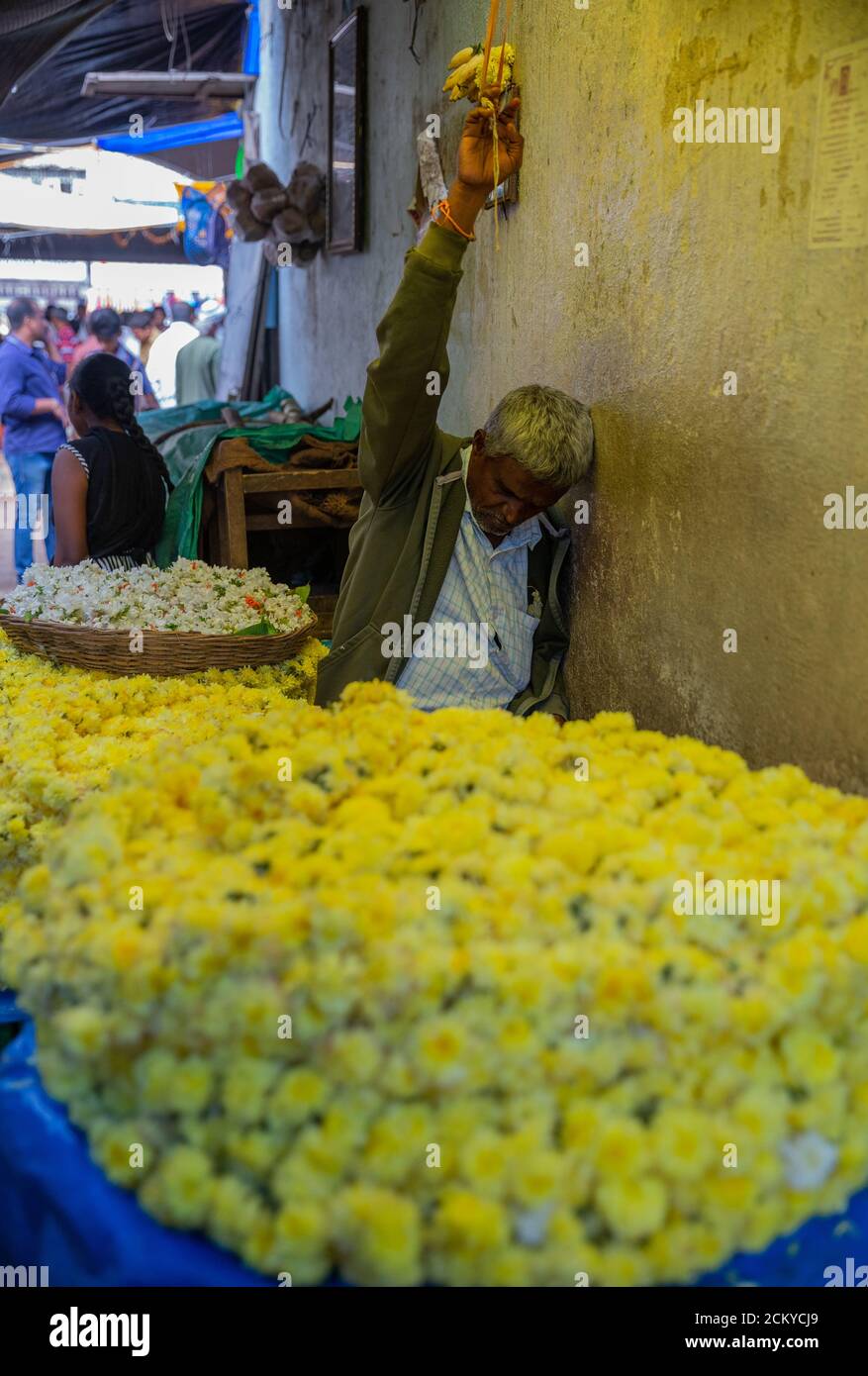 Ein lokaler Blumenverkäufer, der ein Nickerchen in der Pause macht, das ziemlich lustig, aber sehr praktisch aussieht, Mysore, Karnataka, Indien Stockfoto