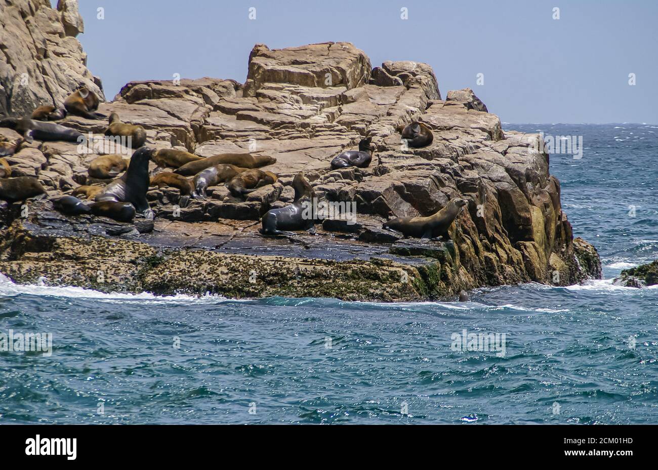 Cabo San Lucas, Mexiko - 22. April 2008: Südliches Ende von Baha California. Nahaufnahme von Robbenfugen auf beigefarbener Gesteinsformation. Blaugrünliches Meerwasser Stockfoto