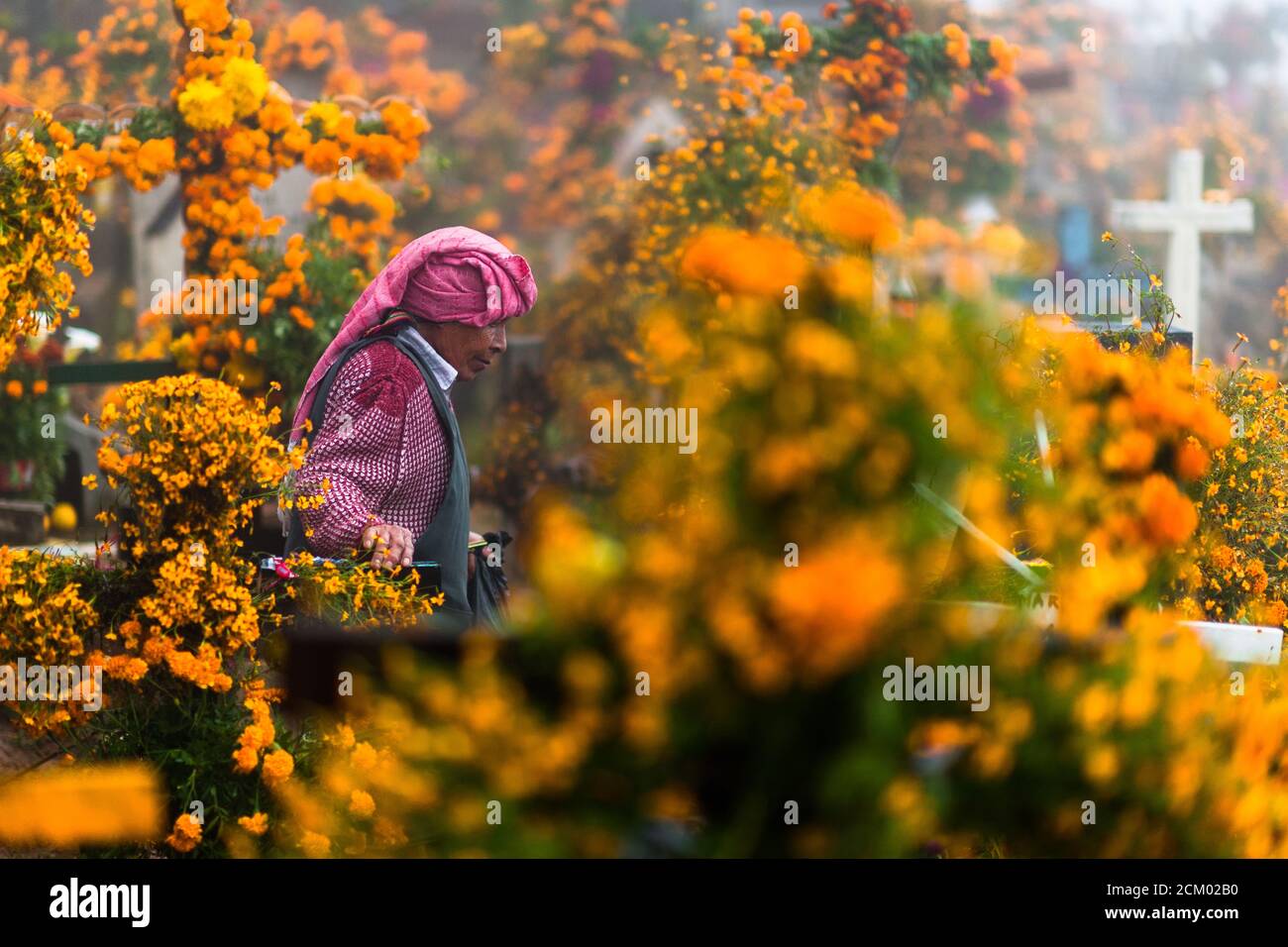 Eine mexikanische indigene Frau geht während der Feierlichkeiten zum Tag der Toten in Ayutla, Mexiko, durch die mit Blumen geschmückten Gräber eines Friedhofs. Stockfoto