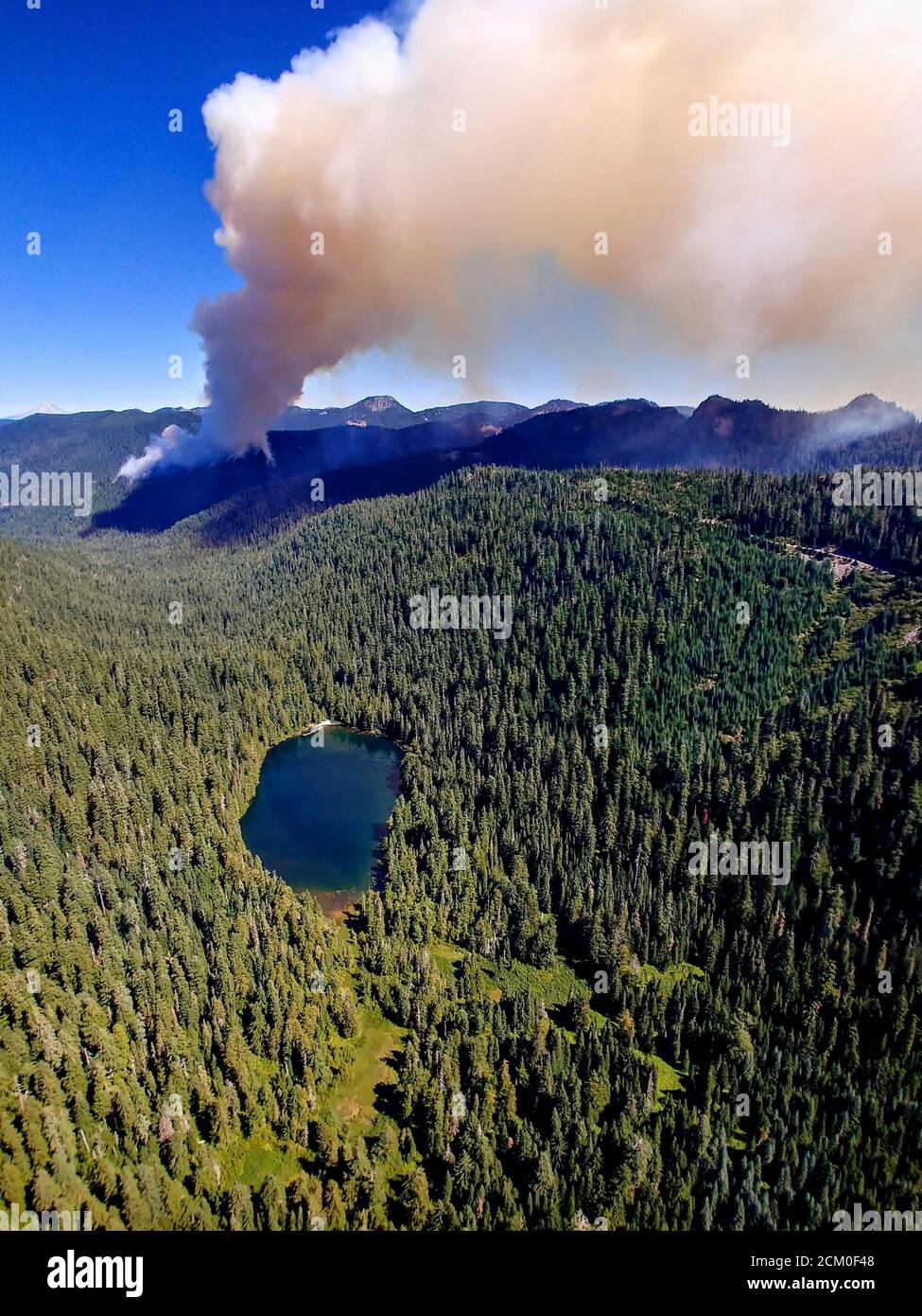 Raucht Wolken der Himmel vom Beachie Creek Feuer im alten Wachstum Opal Creek Wildnis 3. September 2020 in der Nähe von Jawbone Flats, Oregon. Der Brand hat mehr als 191,000 Hektar in der unberührten Wildnis versengt. Stockfoto