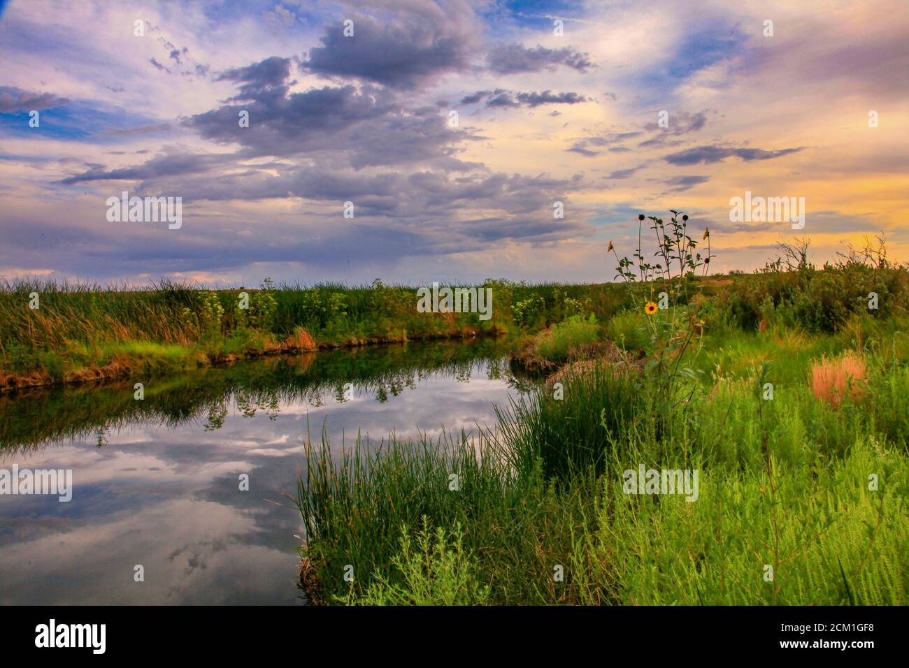 Herbstuntergang Über Dem Cottonwood Spring Stockfoto