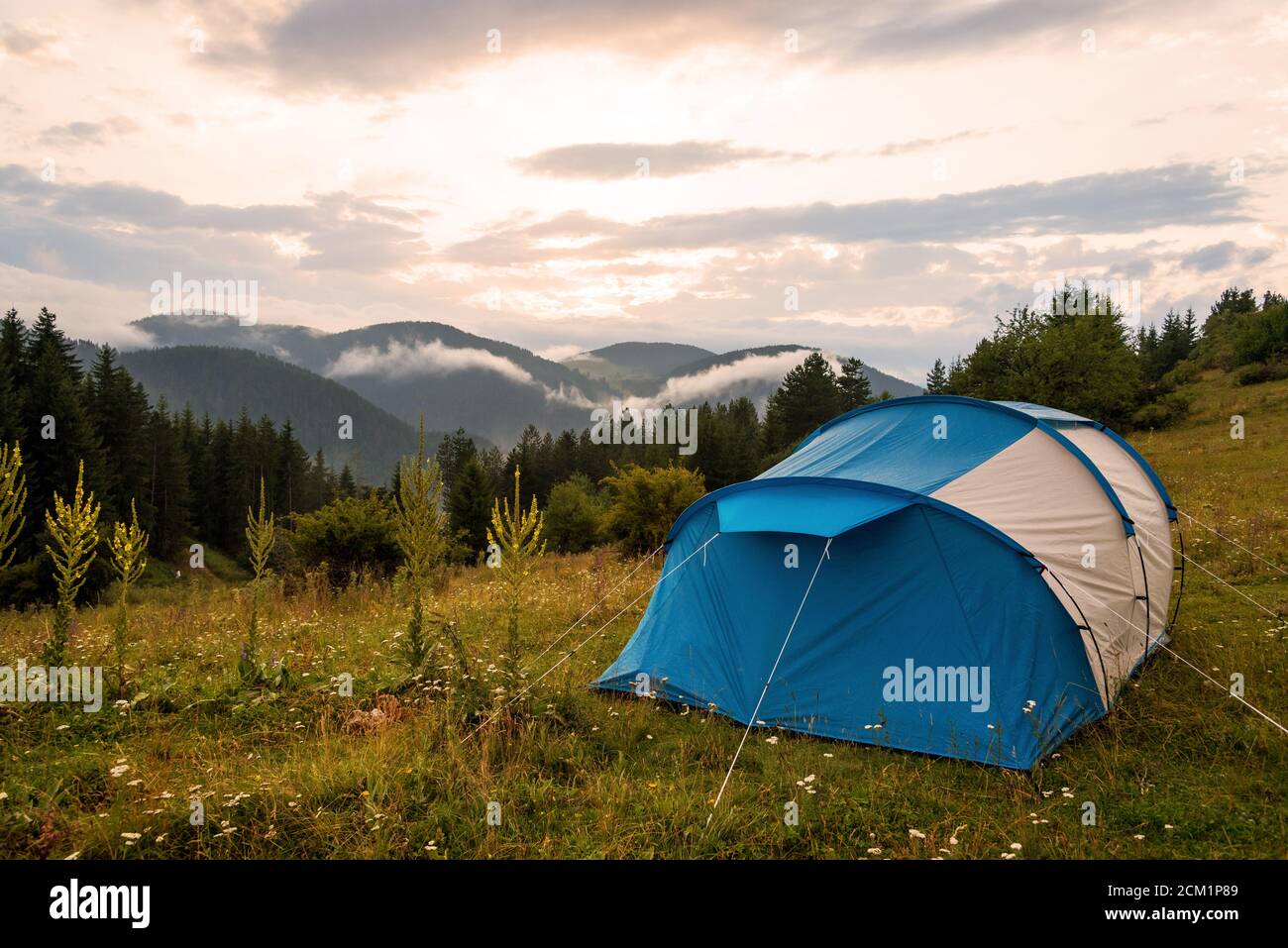 Landschaft von Camping Zelt auf einer Rasenfläche mit Hintergrund der Wald und die Berge und den Sonnenuntergang Himmel im Naturpark. Stockfoto