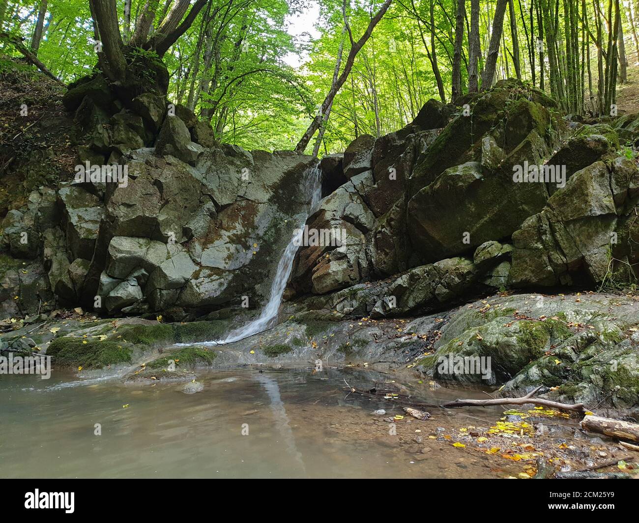 Cheile Borzesti Schluchten natürlichen Flussgebiet. Wasserfall auf kleinen Fluss in dichten Wald in Cluj County, Siebenbürgen, Rumänien. Felsiger Wasserfall in Cheile B Stockfoto