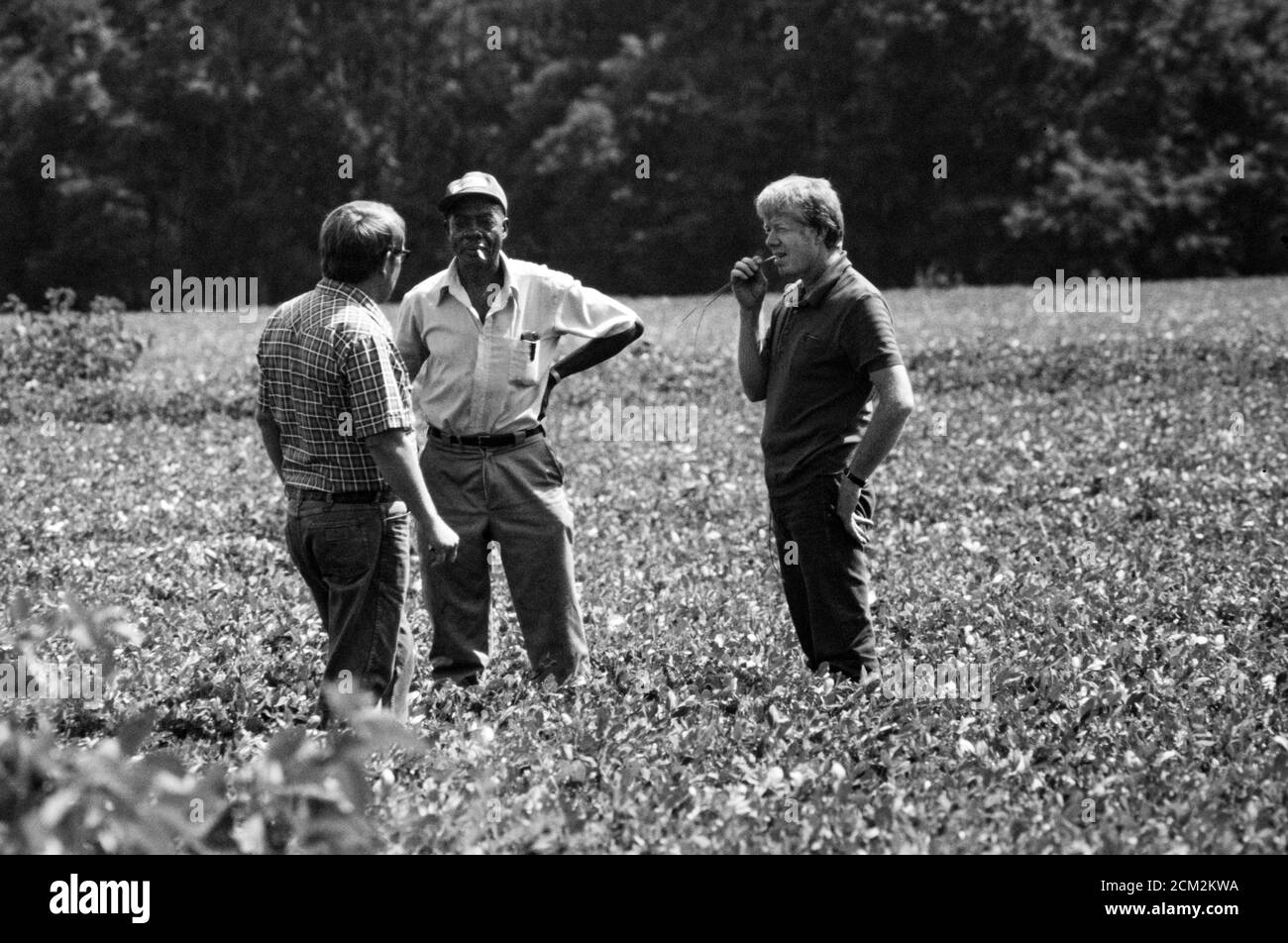 Präsident Jimmy Carter, sein Bruder Billy Carter und der Pächter Leonard Wright des Carters begutachtet das Erdnusslandland von Carter während der ersten Reise des Präsidenten zurück in seine Heimatstadt Plains, Georgia, seit er sein Amt antritt. Carter und Wright pflückten auch Wassermelonen und teilten sie der Wanderpresse des Weißen Hauses mit. Stockfoto