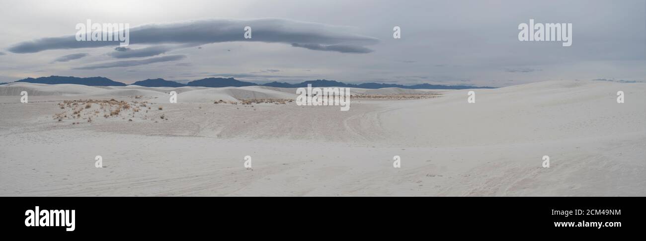 Blick auf White Sands National Park Gipssanddünen mit Vegetation. Stockfoto