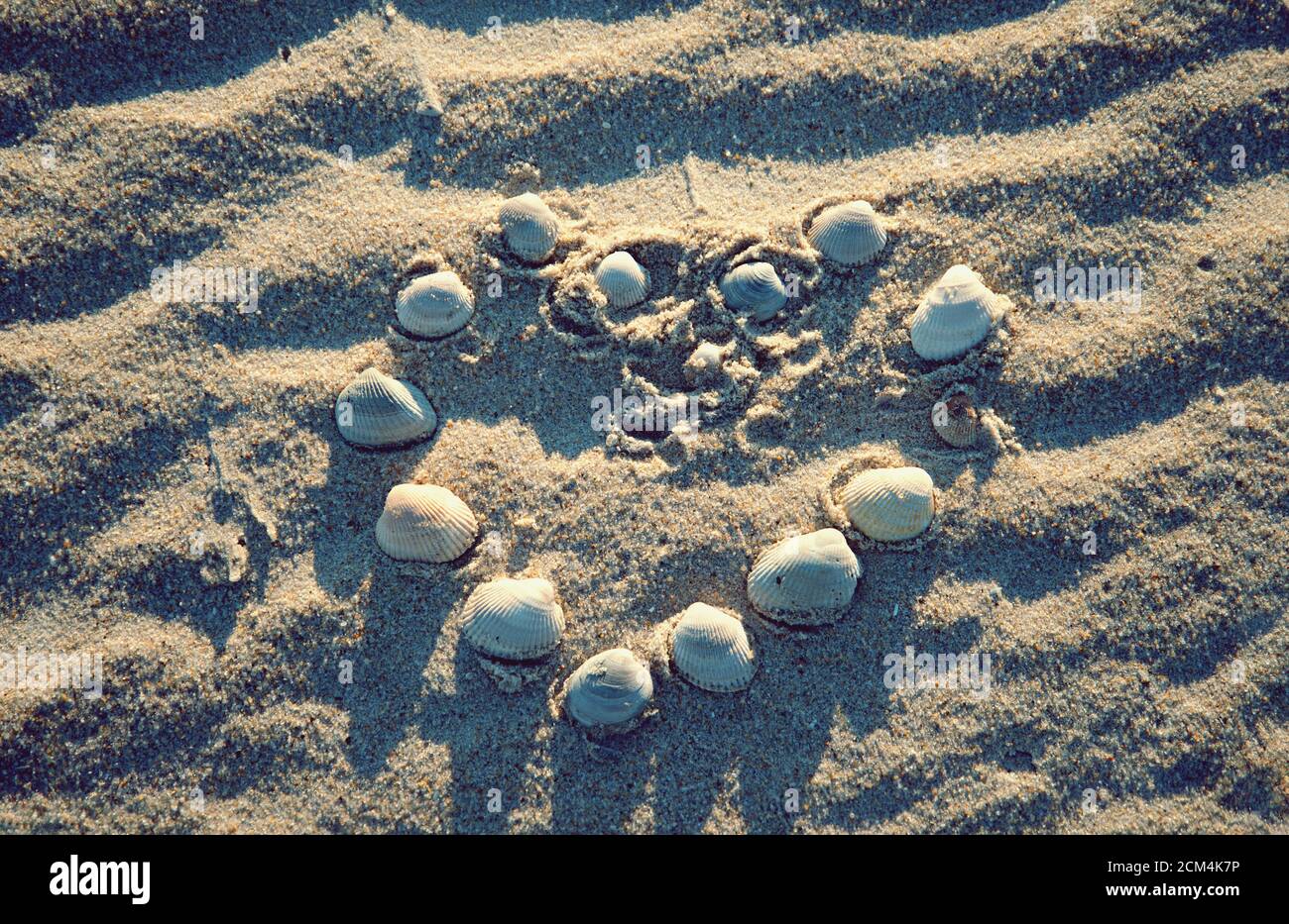 Herzform aus Muscheln am Sandstrand Stockfoto