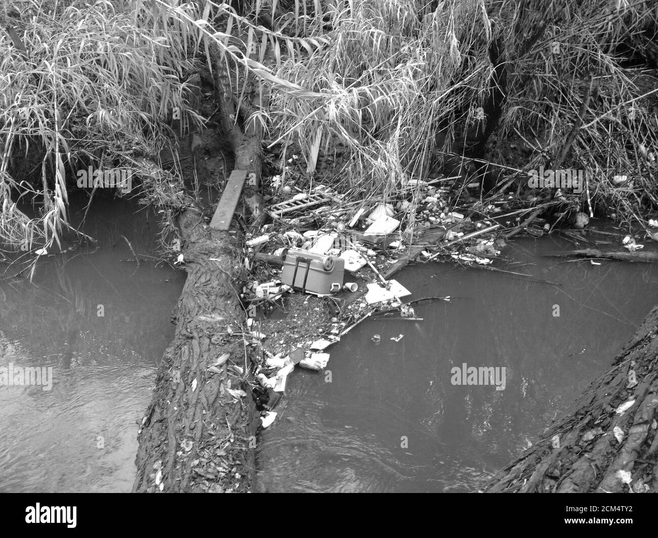 Bild eines Baumstamms, der einen Bach überquert, der von schwebenden Müll umgeben ist. Stockfoto