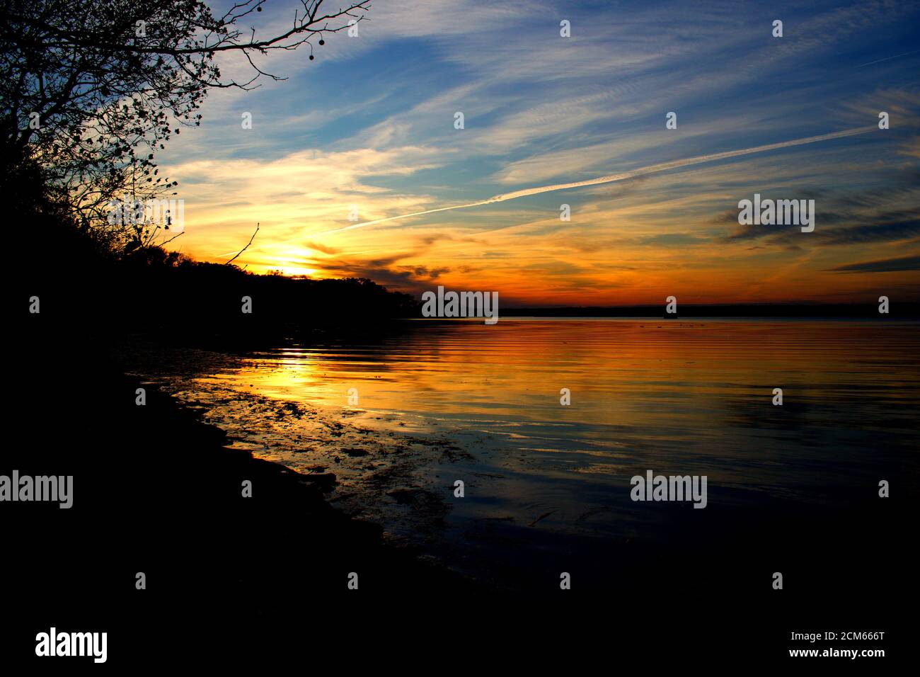 Sonnenuntergang über Belmont Bay mit Silhouette kargen Baumzweig und Flussufer. Stockfoto