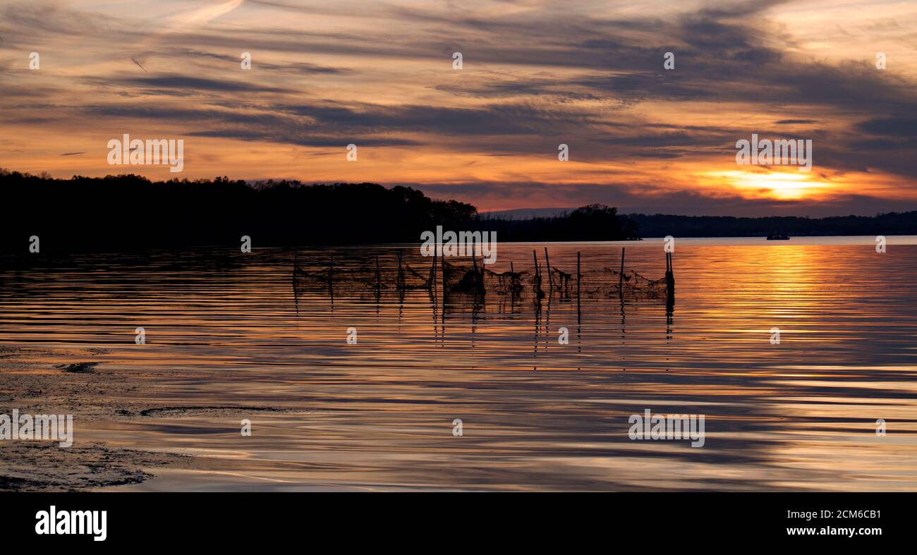 Sonnenuntergang über dem Wasser, Belmont Bay mit Netzzaun in flachem Wasser in Silhouette von Land und Bäumen. Stockfoto