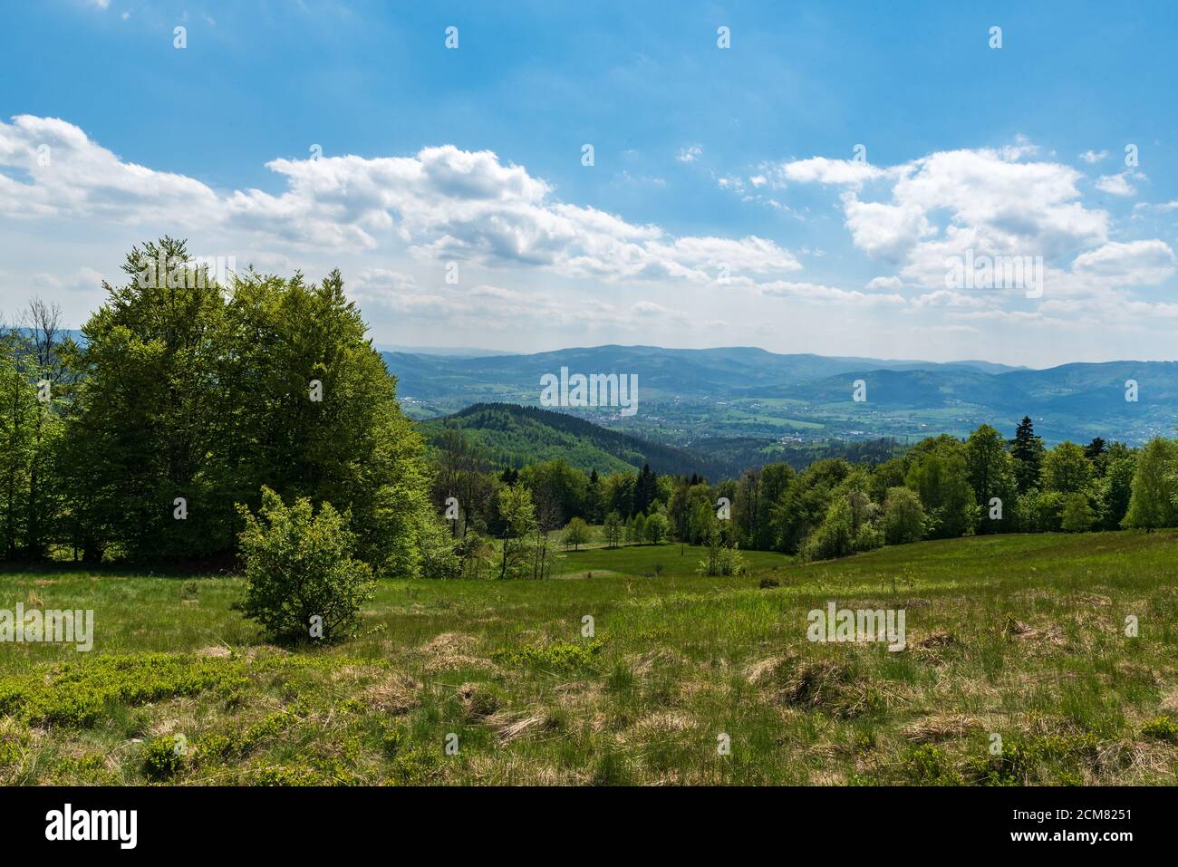 Schöne Aussicht von der Wiese unten Hügel Filipka Gipfel in Slezske Beskiden Berge in Tschechien im Frühling Tag mit blau Himmel und Wolken Stockfoto