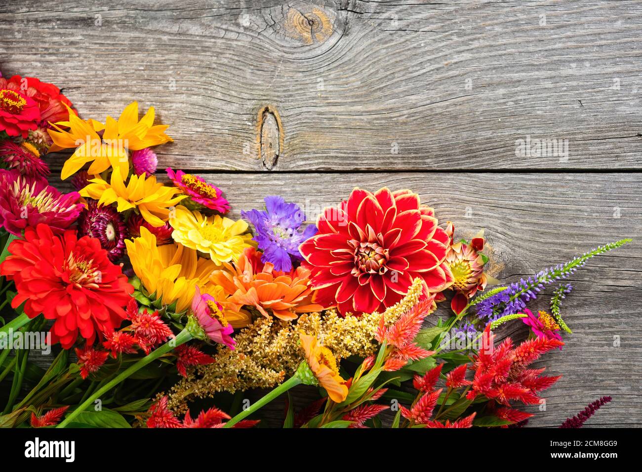 Urlaub Herbststrauß. Rahmen von bunten Blumen auf alten hölzernen Hintergrund angeordnet. Draufsicht und Kopierplatz für Ihre Werbung Textnachricht oder Prom Stockfoto
