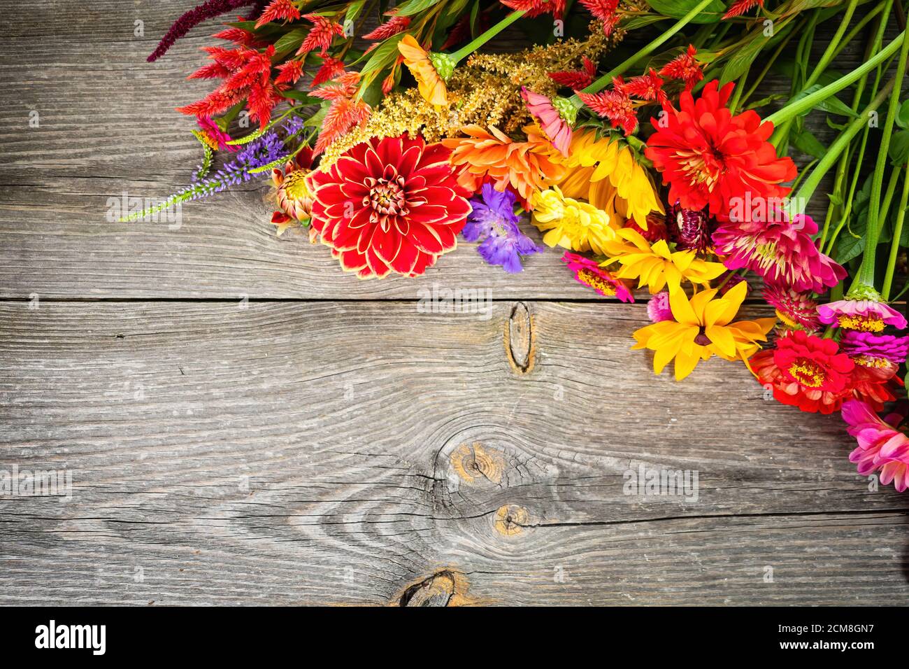 Urlaub Herbststrauß. Rahmen von bunten Blumen auf alten hölzernen Hintergrund angeordnet. Draufsicht und Kopierplatz für Ihre Werbung Textnachricht oder Prom Stockfoto