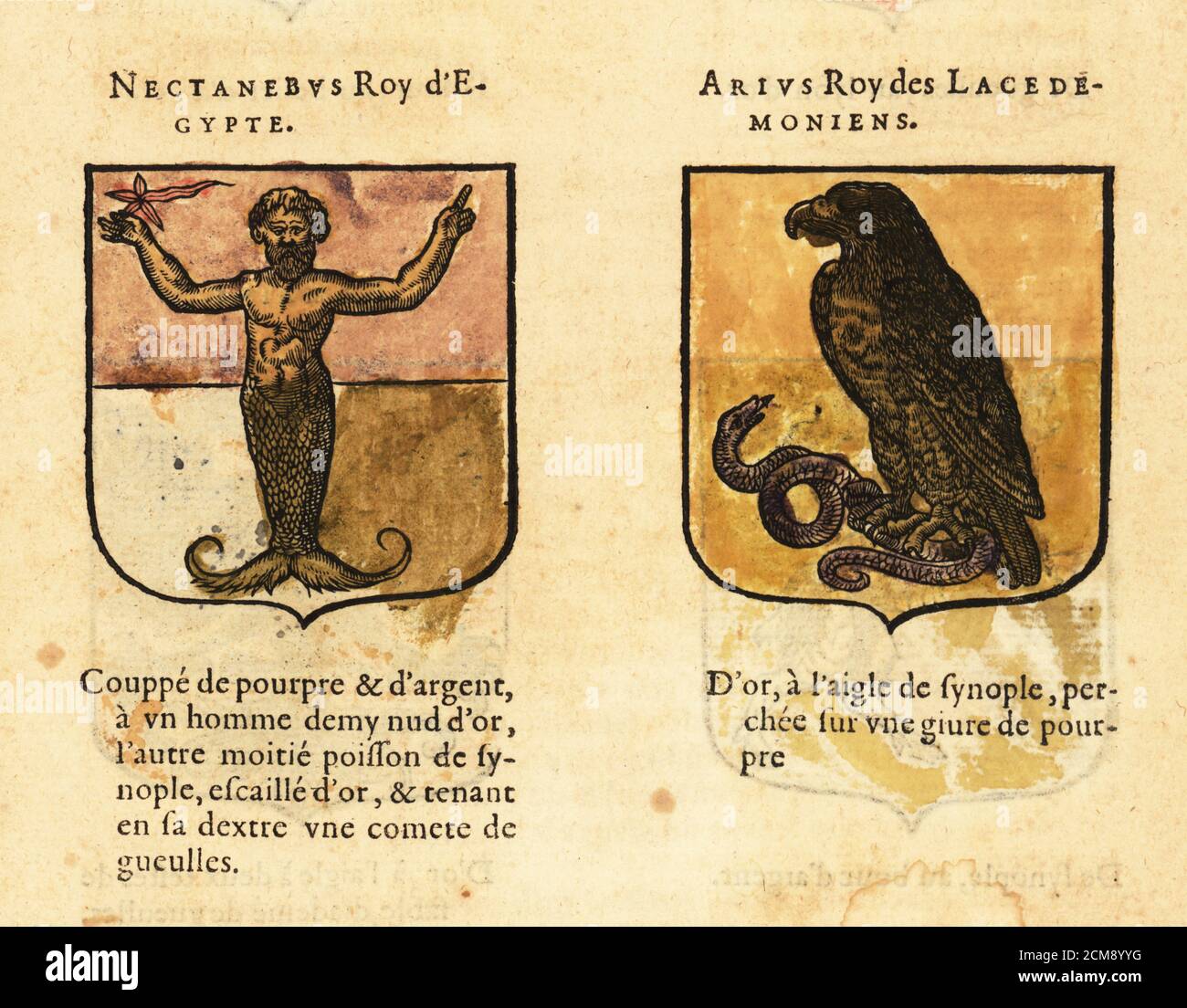 Wappen von Nectanebo I, Kheperkare Nakhtnebef, ägyptischen pharao, mit Seemann, und Areus, König der Lakedemonier, mit Adler und Schlange. NECTANEBUS Roy d'Egypte, ARIUS Roy des LACEDEMONIENS. Handkolorierter Holzschnitt aus Hierosme de Bara’s Le Blason des Armoiries, Chez Rolet Bouton, Paris, 1628 Stockfoto