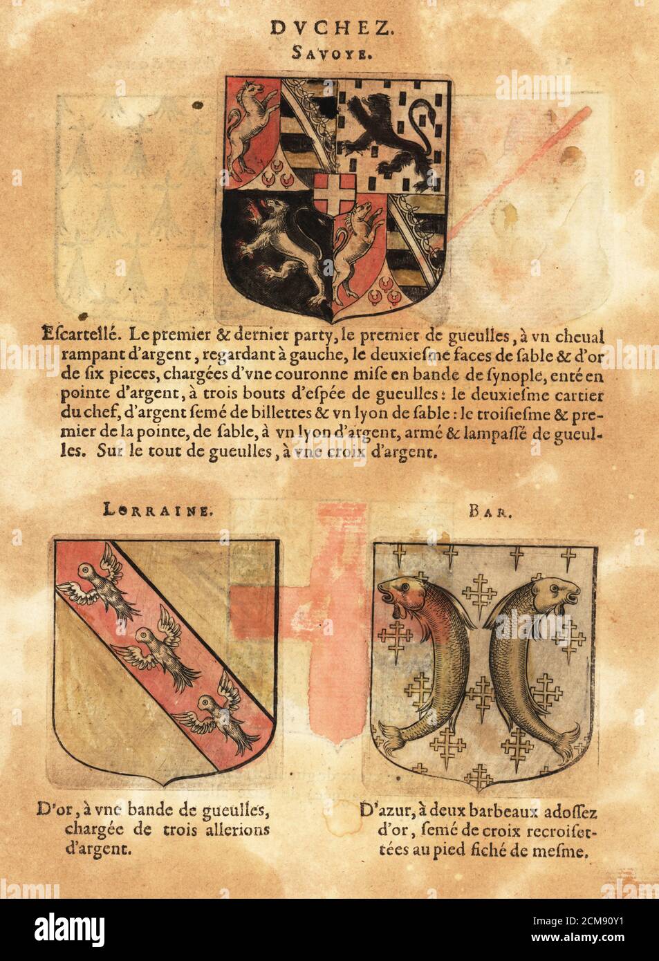 Wappen des Herzogtums Savoyen mit geviertelten Wappen mit Pferden und Löwen, Lothringen mit drei Allerionenadlern und Bar mit zwei Barbenfischen. Duchez: Savoye, Lothringen, Bar. Handkolorierter Holzschnitt aus Hierosme de Bara’s Le Blason des Armoiries, Chez Rolet Bouton, Paris, 1628 Stockfoto