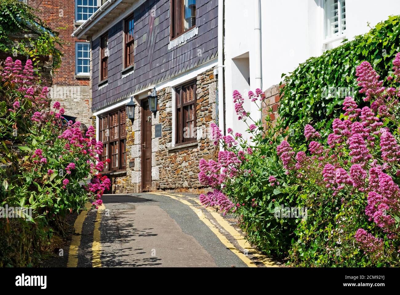 Blumenbedeckte Hütten in st mawes cornwall Stockfoto